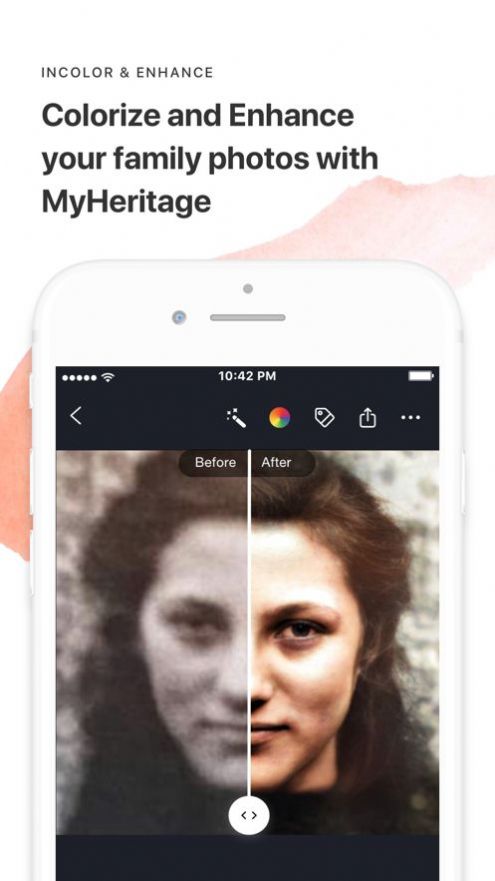 myheritage网页版app下载