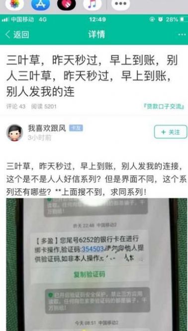 安卓三叶草APP软件下载