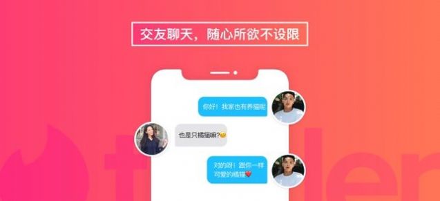 安卓tinder网页版软件下载