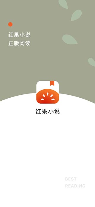 红果小说