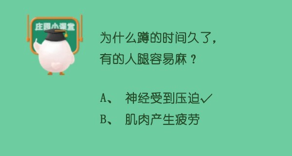 为什么蹲的时间久了有的人腿容易麻