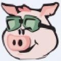 pig finance