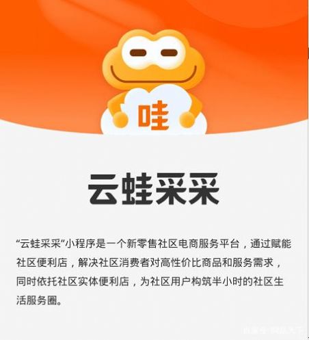 云蛙采采appapp下载