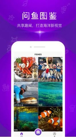 安卓拍照识别鱼品种app
