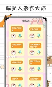 安卓小猫交流器app