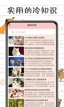 小猫交流器下载