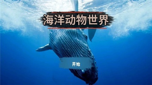 海洋动物世界