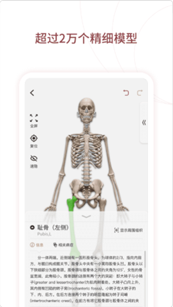 安卓人体解剖3d appapp