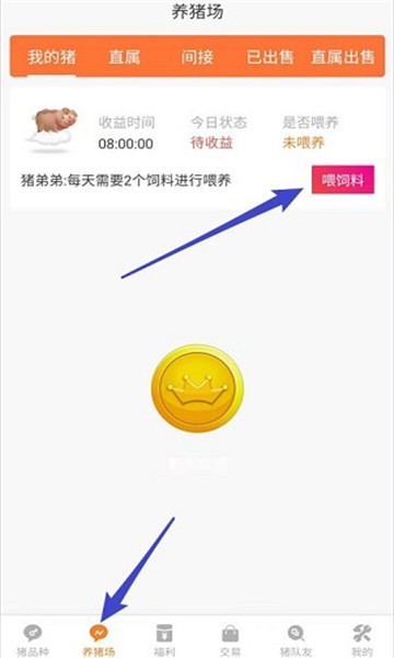 安卓拼猪猪app