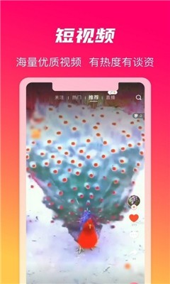 安卓火晶星球app