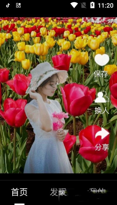 安卓芥兰appapp