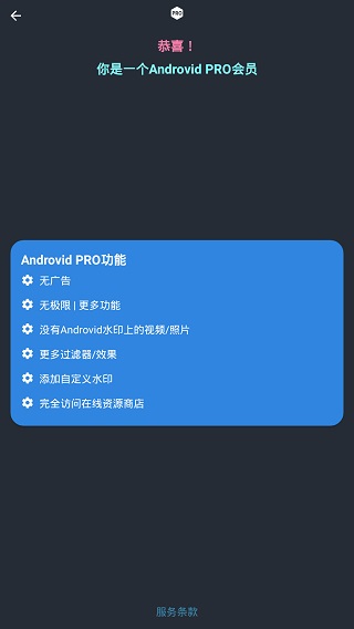 androvid pro中文版下载