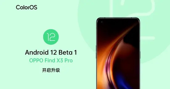 安卓android 12 beta 4.1软件下载