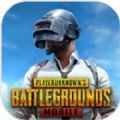 pubg mobile 1.5: ignition官方版