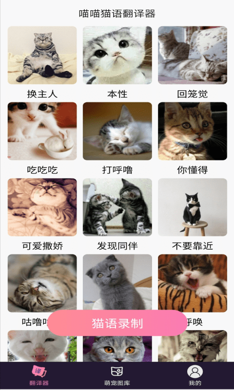 安卓喵喵猫语翻译器app