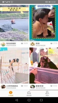 红小狗视频下载