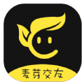 麦芽交友app最新版