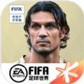 fifa足球世界比赛服