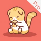 懒猫记账pro app