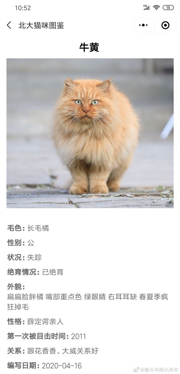 北大猫咪图鉴app下载