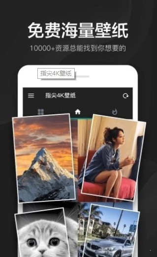 指尖4k壁纸app安卓版