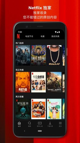 安卓netflix 中文官网app