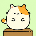 休闲布尼猫app