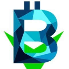 blockvest币交易所