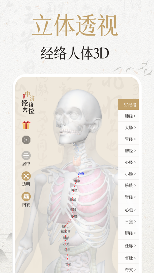 中济经络穴位安卓版app下载