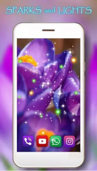 crocus spring app