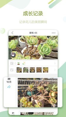 绿手指app