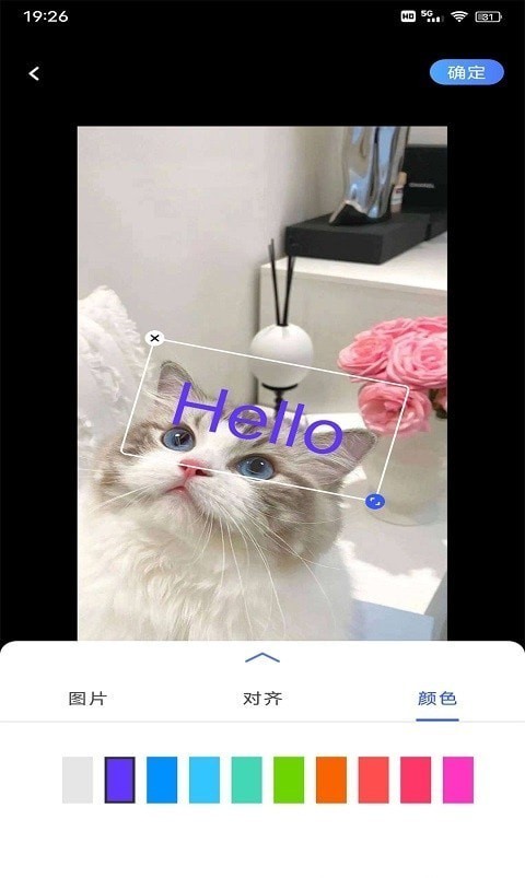 安卓小猪翻译器app