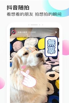 安卓抖音筷子拍照特效app软件下载 v19.8.0app