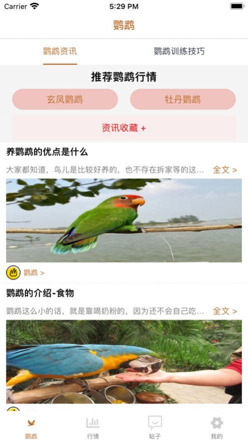 清萌鹦鹉app下载