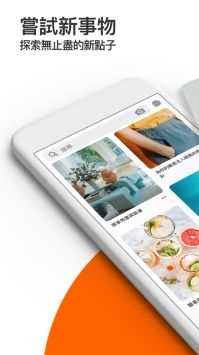 安卓pinterest 中文版app