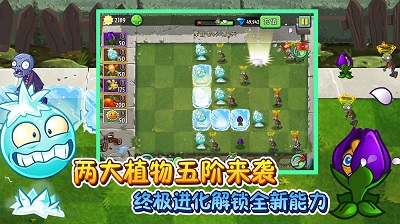 安卓植物大战僵尸2 2023最新版app