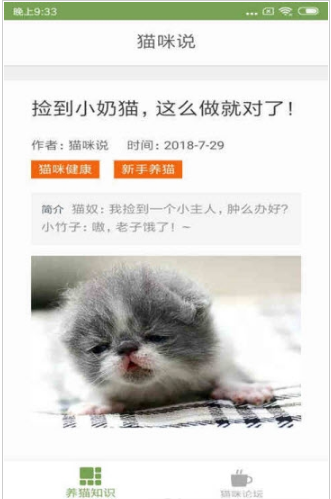 猫咪生活圈