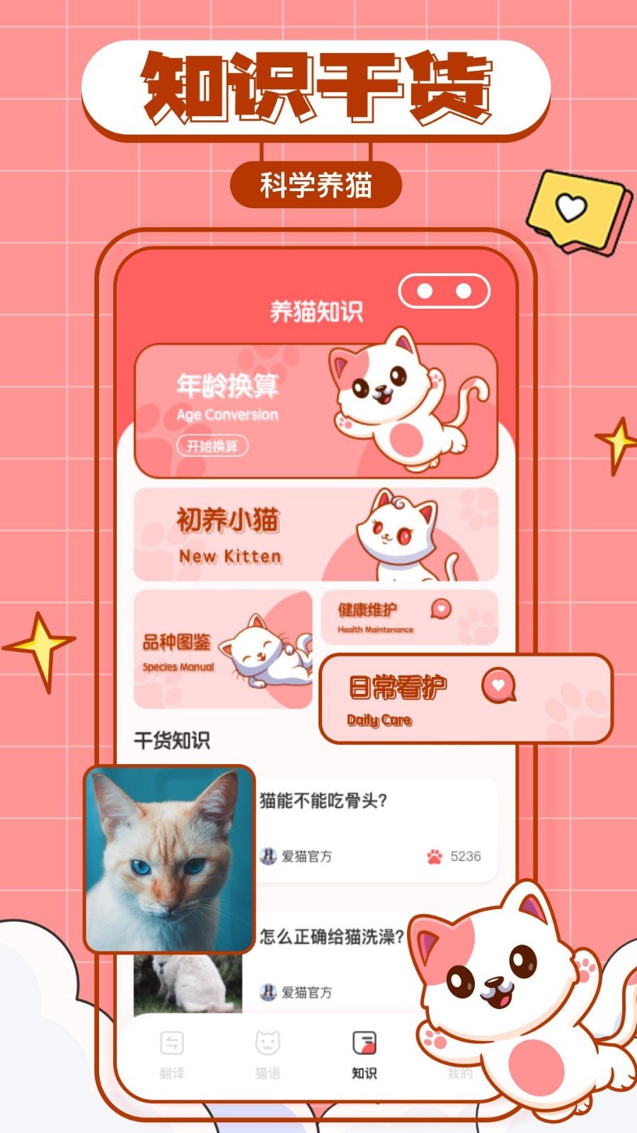 安卓猫咪翻译物语app