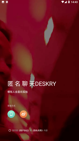 匿名聊天deskry下载