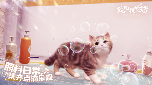 CatsGatheringZhongxishanjuLeisureSocialMobileGame