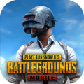 pubg绝地求生 国际服官网