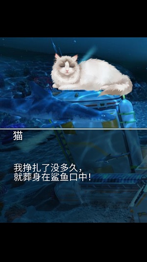 猫生煎熬2023