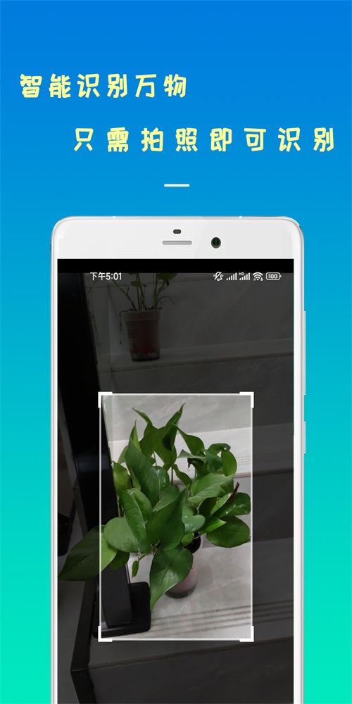 剪易智能识物app下载