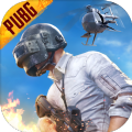 pubg mobile国际服手游 