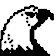 旋风加速npvandroid版 
