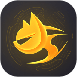 飞鱼加速器android版