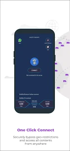 安卓布谷vnp加速器软件下载